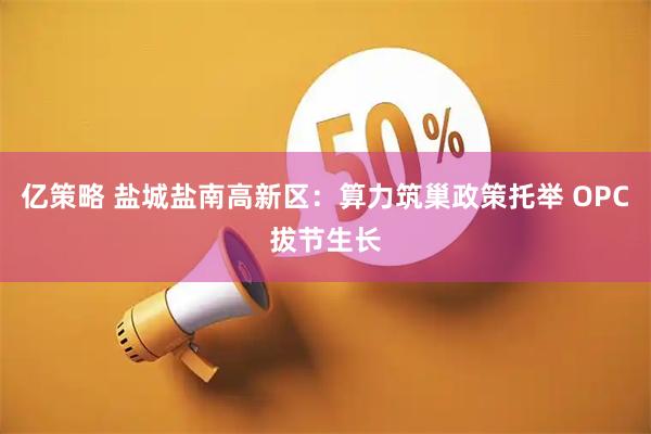 亿策略 盐城盐南高新区：算力筑巢政策托举 OPC拔节生长